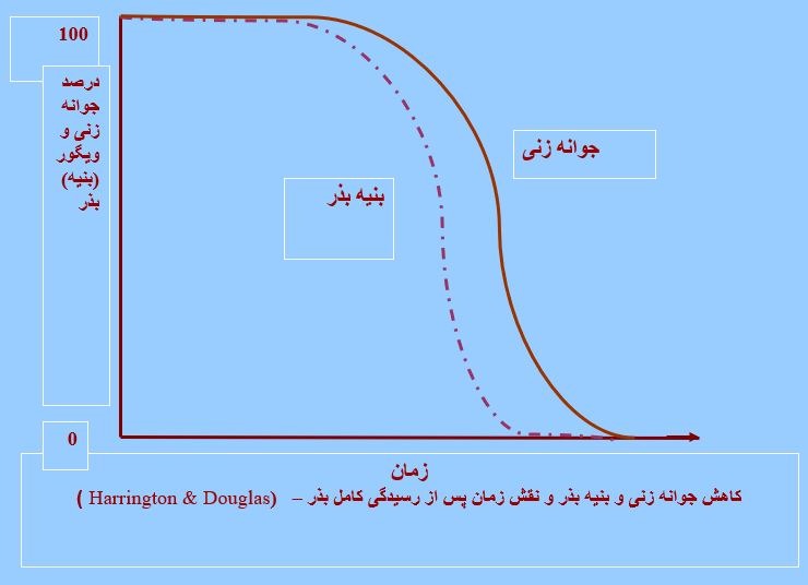 انبارداری