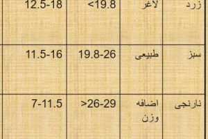 پاورپوینت تغذیه بارداری
