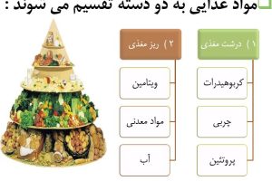 پاورپوینت تغذیه
