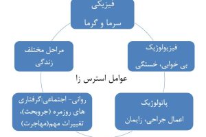 پاورپوینت استرس