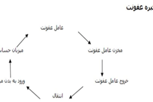 دانلود پاورپوینت کنترل عفونت کمیاب و عالی ppt