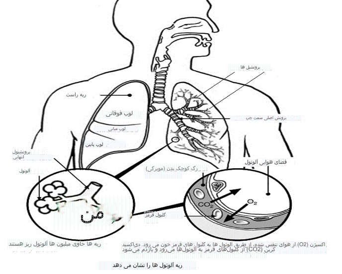 خونریزی و شوک
