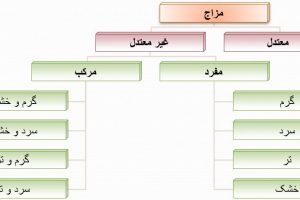 مزاج شناسی و بررسی خلق و خو