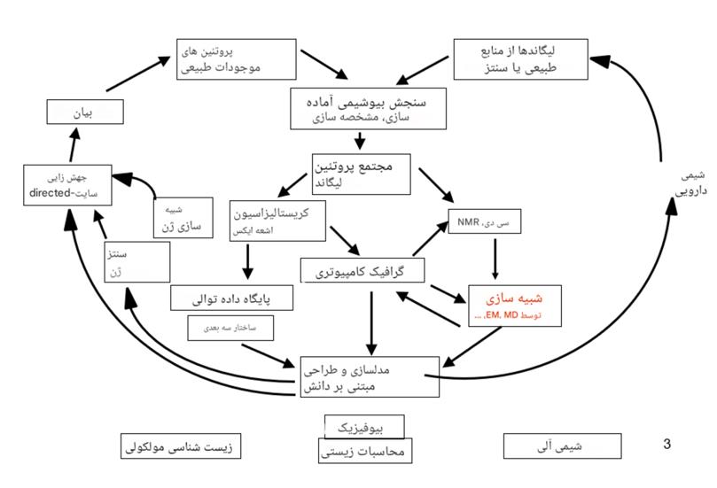 مدلسازی پروتئین