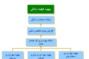 بهره وری :اهميت ، چالش ها و برنامه ها