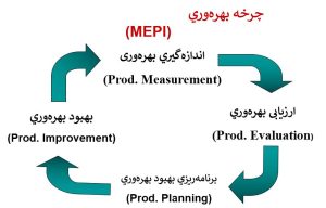 چرخه بهره وری