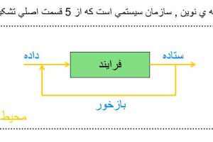 اصول مدیریت و تئوری سازمان