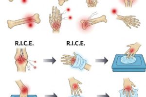 دانلود ppt پاورپوینت شکستگی ها کمیاب و عالی