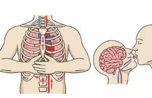 دانلود ppt پاورپوینت احیای قلبی ریوی CPR کمیاب و عالی